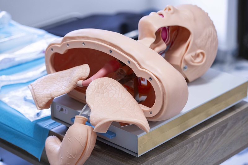 american-heart-association-bls